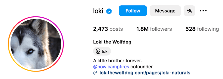 Loki the Wolfdog Instagram Profile bio